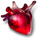 beating-heart