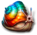 rainbow-snail